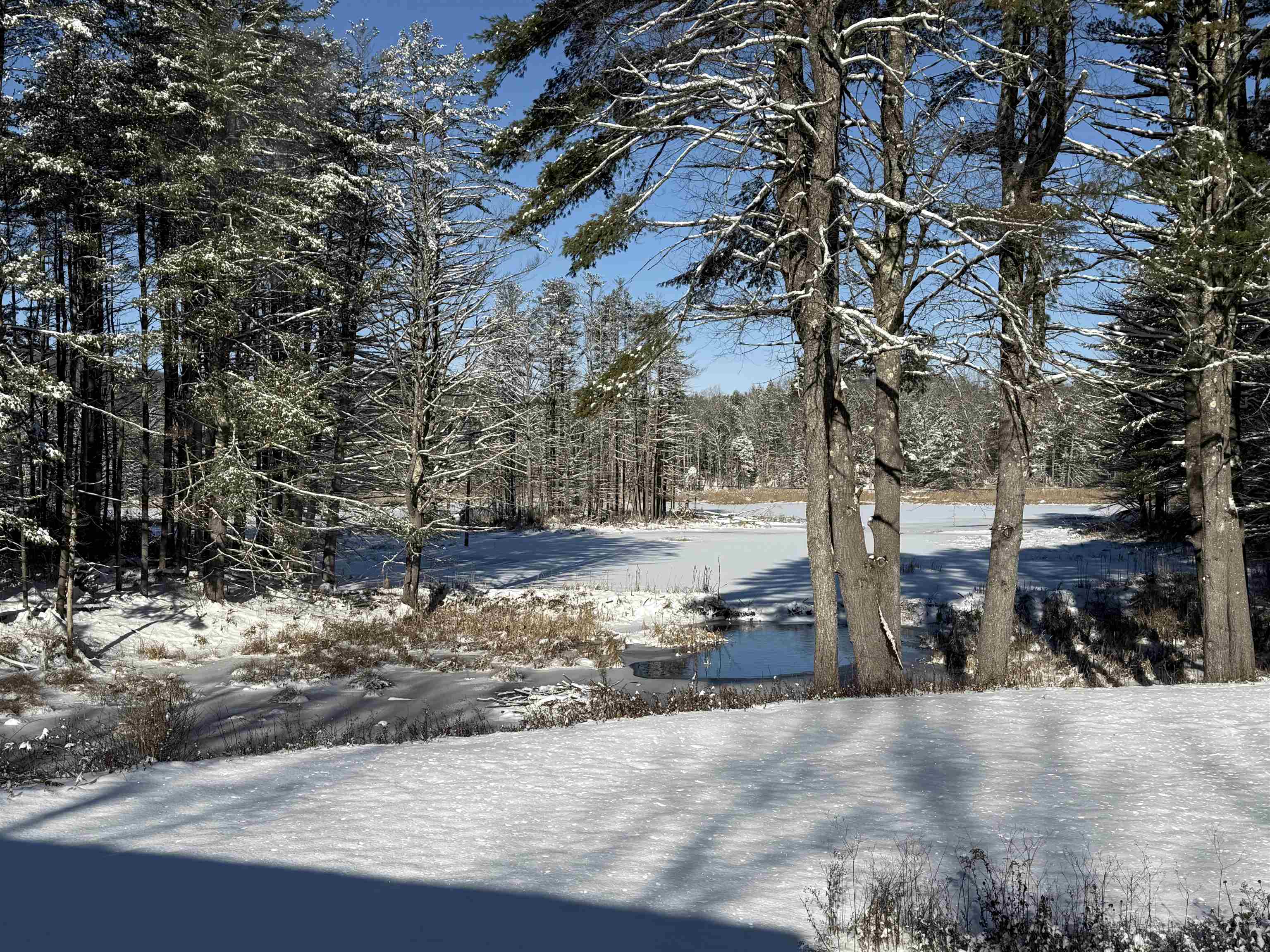 35 Stevens Road Cavendish, VT 05142 - Photo 38 of 51