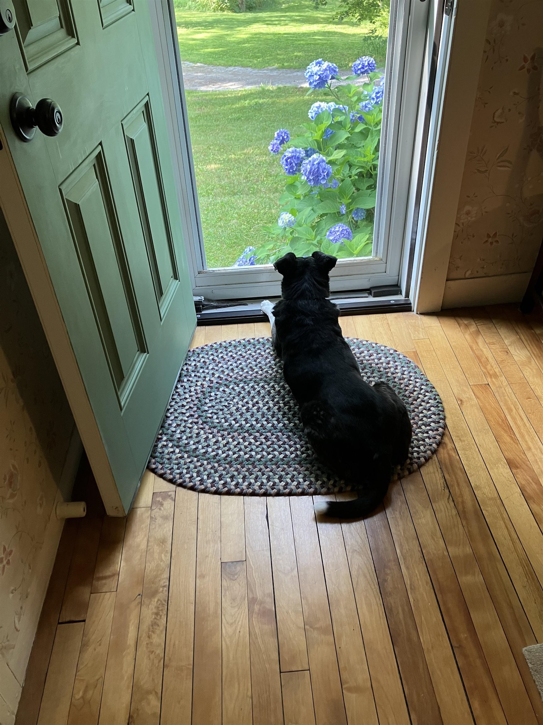 35 Stevens Road Cavendish, VT 05142 - Photo 44 of 51