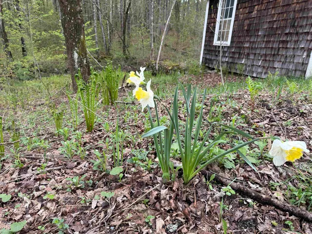 $674,000 | 35 Stevens Road, Cavendish, VT 05142