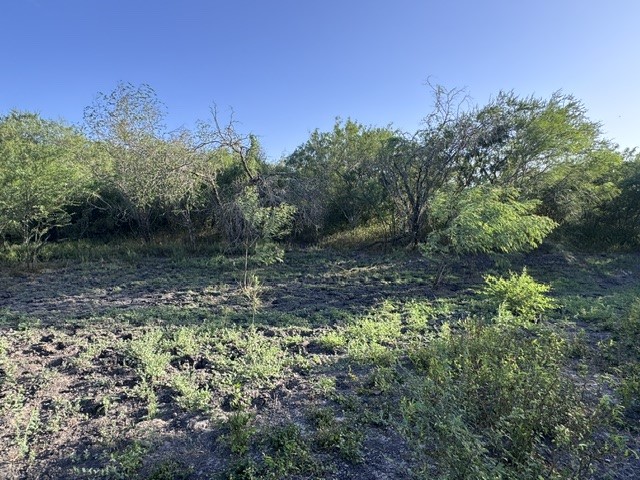 5929 Sweet Water Road Robstown, TX 78380 - Photo 14 of 18 Gallery Image 14