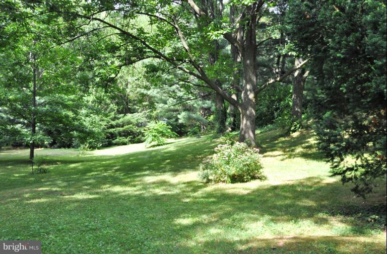 5986 Grove Hill Road Frederick, MD 21703 - Photo 8 of 30 Wonderful rear yard w/ mature trees