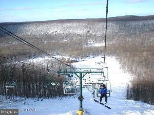 64 Algonquin Drive Hazleton, PA 18202 - Photo 50 of 64 skiing