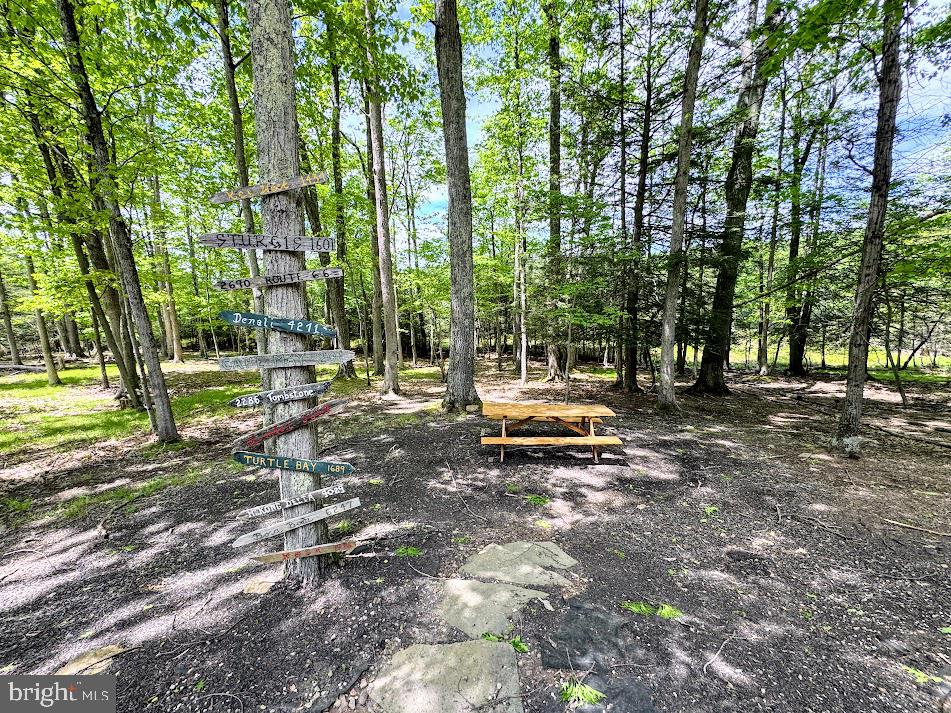 64 Algonquin Drive Hazleton, PA 18202 - Photo 5 of 64 a view of a park with large trees