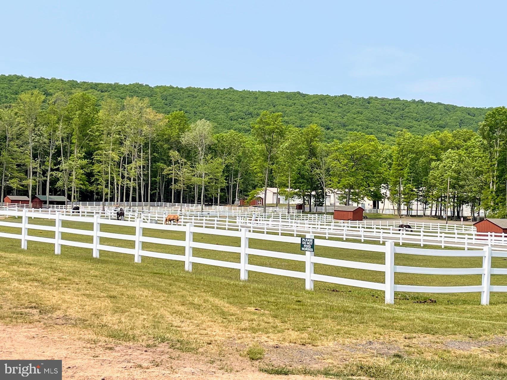64 Algonquin Drive Hazleton, PA 18202 - Photo 53 of 64
