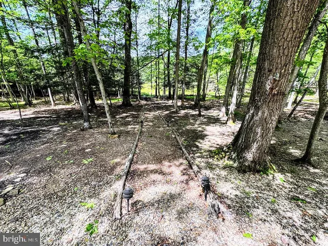 a view of backyard with green space