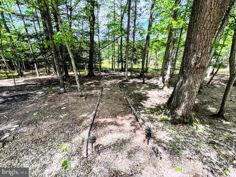 64 Algonquin Drive Hazleton, PA 18202 - Photo 6 of 64 a view of backyard with green space