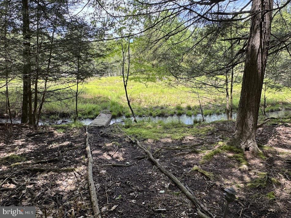 64 Algonquin Drive Hazleton, PA 18202 - Photo 7 of 64 a view of a yard with a tree