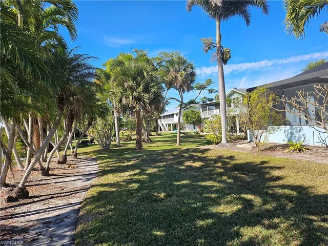 a view of a park with palm trees