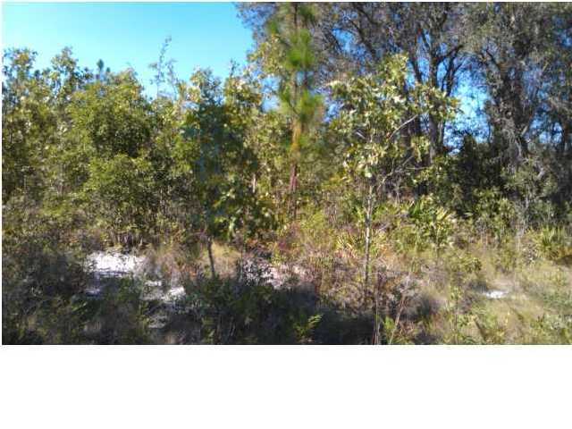 80-ac Ranch Road DeFuniak Springs, FL 32433 - Photo 5 of 13 a view of outdoor space and garden