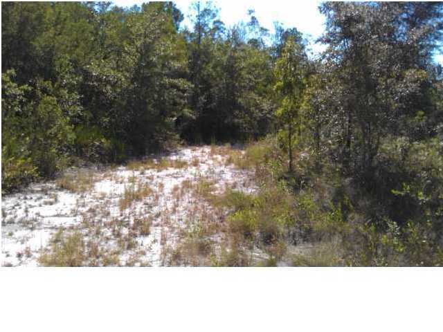 80-ac Ranch Road DeFuniak Springs, FL 32433 - Photo 10 of 13 a view of a yard