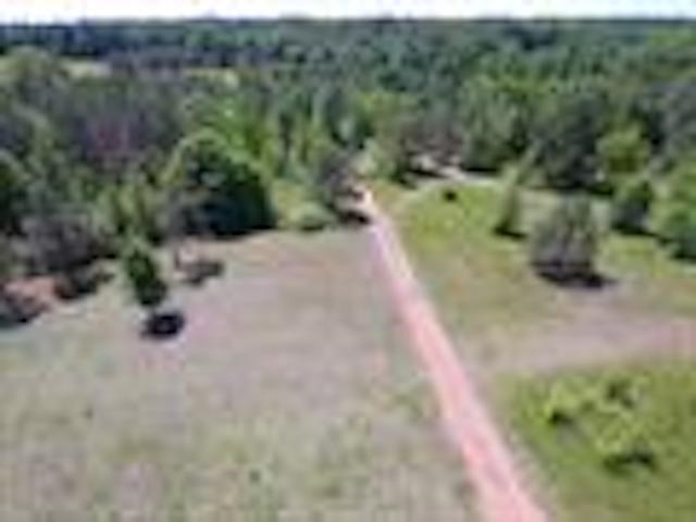 a view of a yard with plants