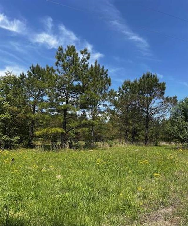 235 Gladden Road Counce, TN 38326 - Photo 11 of 17 a view of a big yard