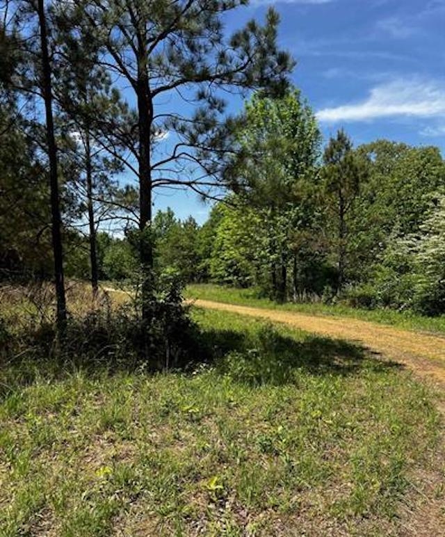 235 Gladden Road Counce, TN 38326 - Photo 12 of 17 a view of a garden