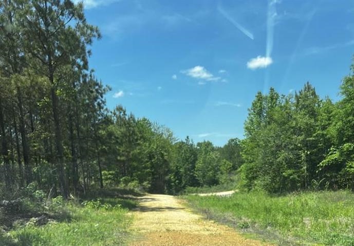 235 Gladden Road Counce, TN 38326 - Photo 13 of 17 a view of outdoor space and yard