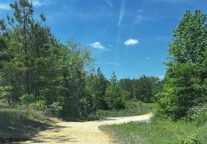 235 Gladden Road Counce, TN 38326 - Photo 14 of 17 a view of swimming pool from a yard