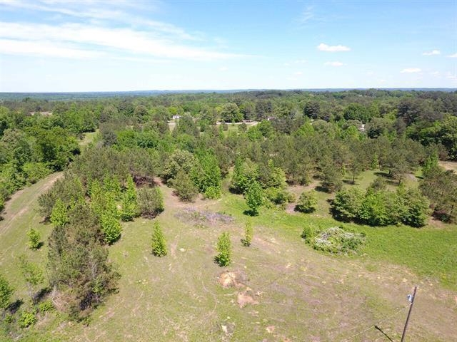 235 Gladden Road Counce, TN 38326 - Photo 15 of 17 a view of a yard with a tree