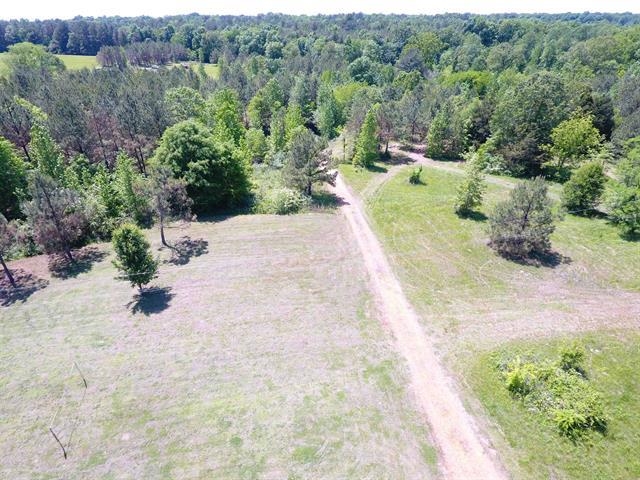 235 Gladden Road Counce, TN 38326 - Photo 17 of 17 a view of a backyard with green space