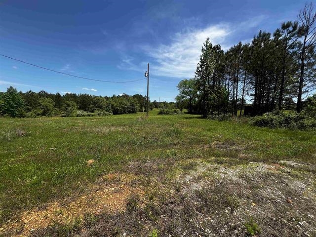 235 Gladden Road Counce, TN 38326 - Photo 2 of 17 a view of a field with trees in the background