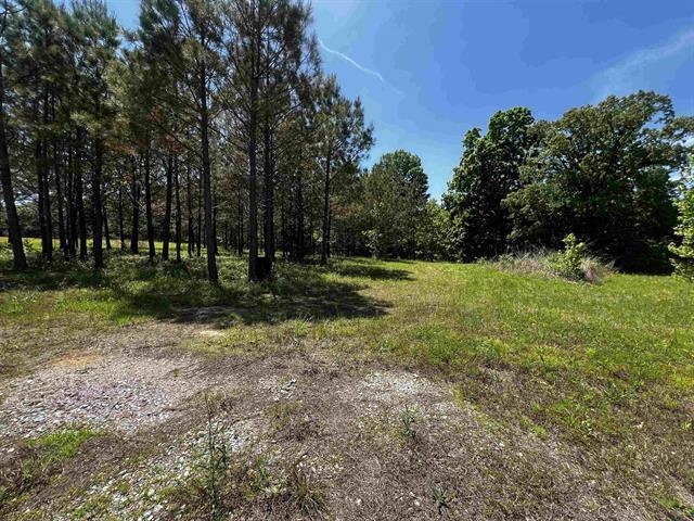 235 Gladden Road Counce, TN 38326 - Photo 3 of 17 a view of a park