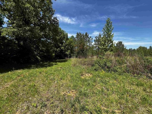 235 Gladden Road Counce, TN 38326 - Photo 4 of 17 a view of outdoor space and yard
