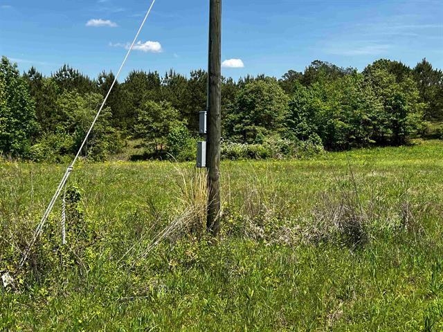 235 Gladden Road Counce, TN 38326 - Photo 6 of 17 a view of a garden