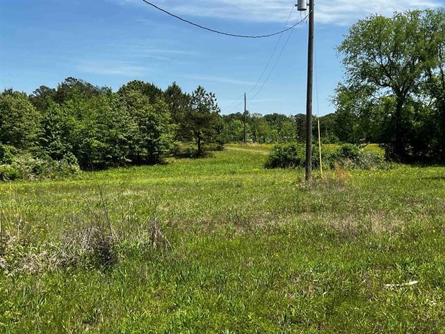235 Gladden Road Counce, TN 38326 - Photo 7 of 17 a view of a garden with a tree