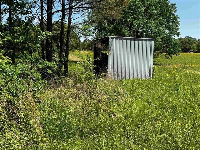 235 Gladden Road Counce, TN 38326 - Photo 8 of 17 a view of a backyard