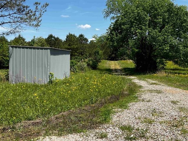 235 Gladden Road Counce, TN 38326 - Photo 9 of 17 a view of a garden with a pond