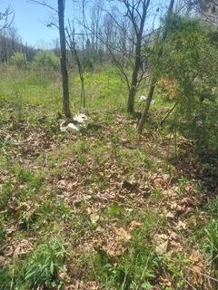 1112 Covered Bridge Road Wallingford, KY 41093 - Photo 8 of 20 7792196005221284632