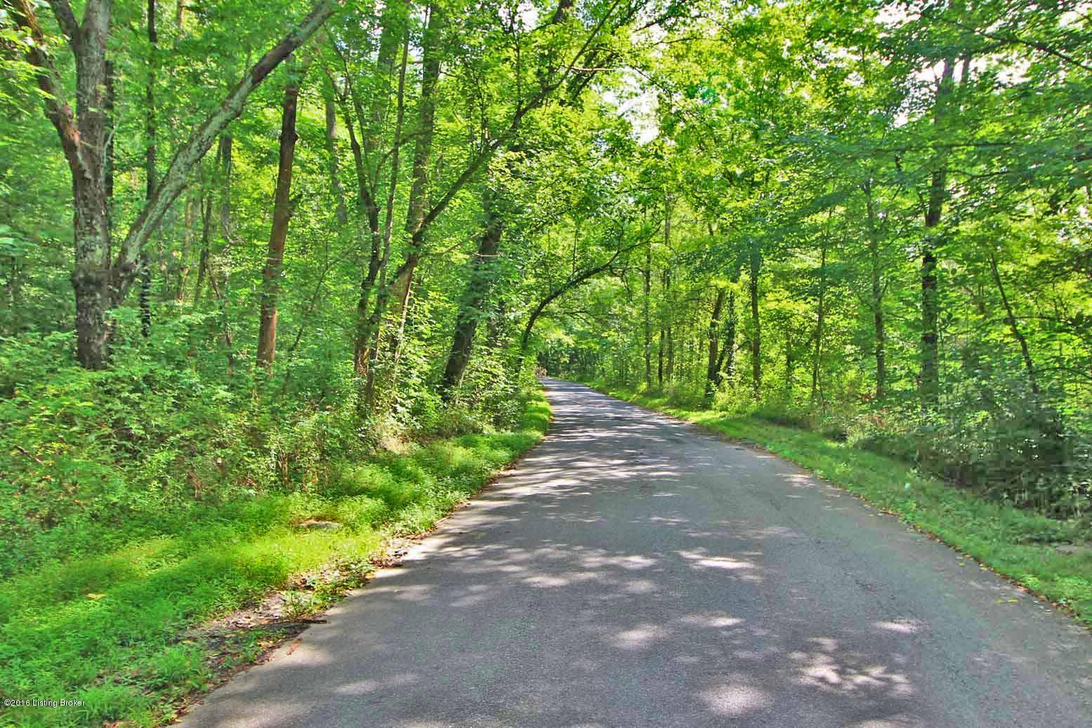2500 Buzzard Roost Road Waddy, KY 40076 - Photo 3 of 5 Street View 2