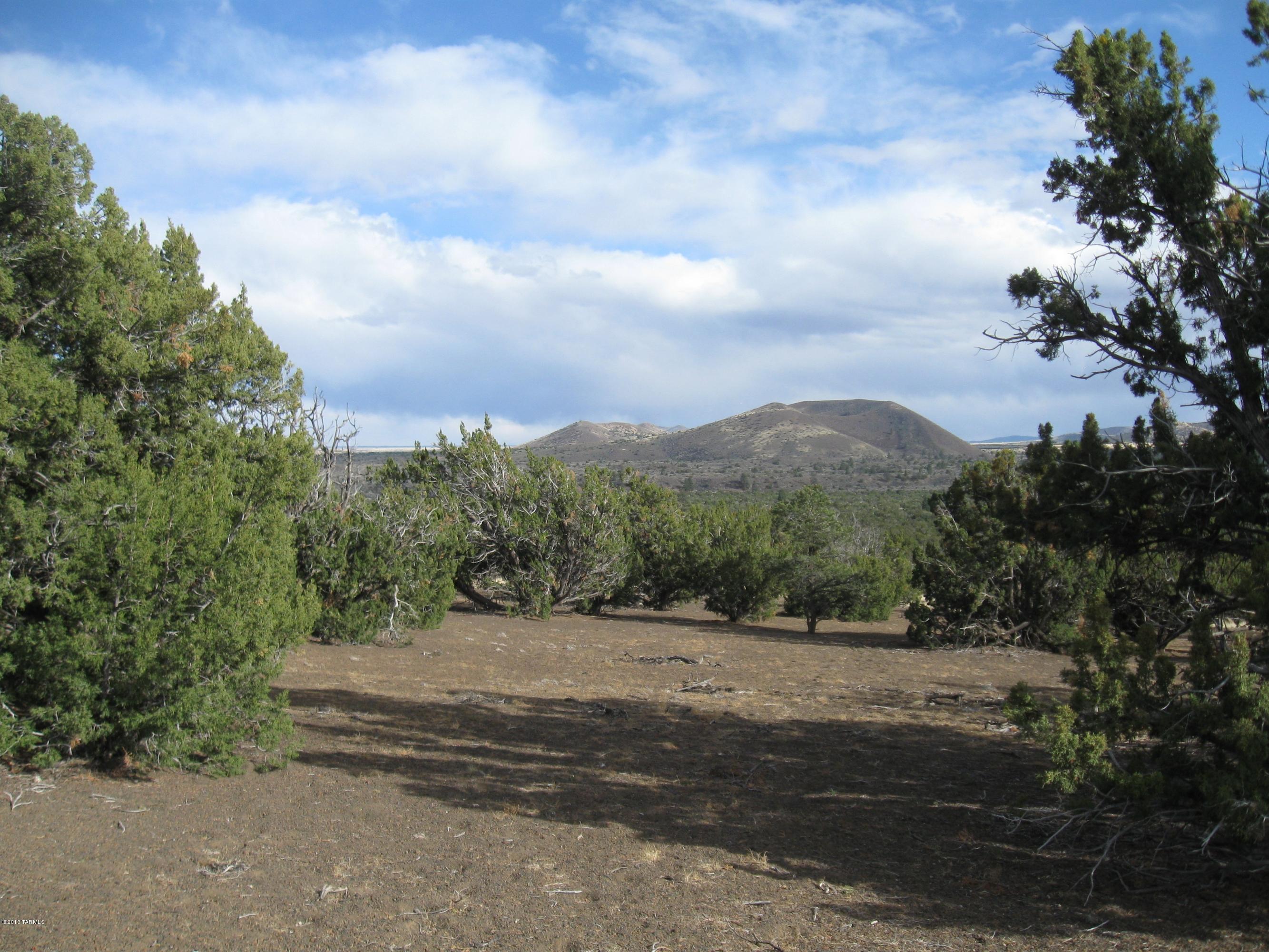 43007 A Alpine Ranch Flagstaff, AZ 86004 - Photo 8 of 12