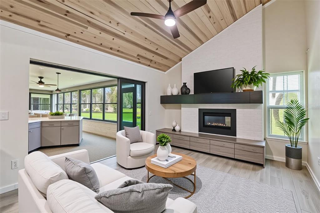 5319 Saddlebrook Way Wesley Chapel, FL 33543 - Photo 37 of 77 a living room with furniture a fireplace and a potted plant