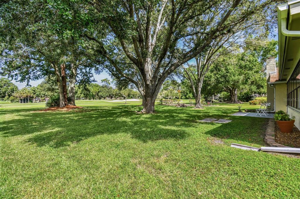 5319 Saddlebrook Way Wesley Chapel, FL 33543 - Photo 61 of 77 a view of grassy field with benches and trees