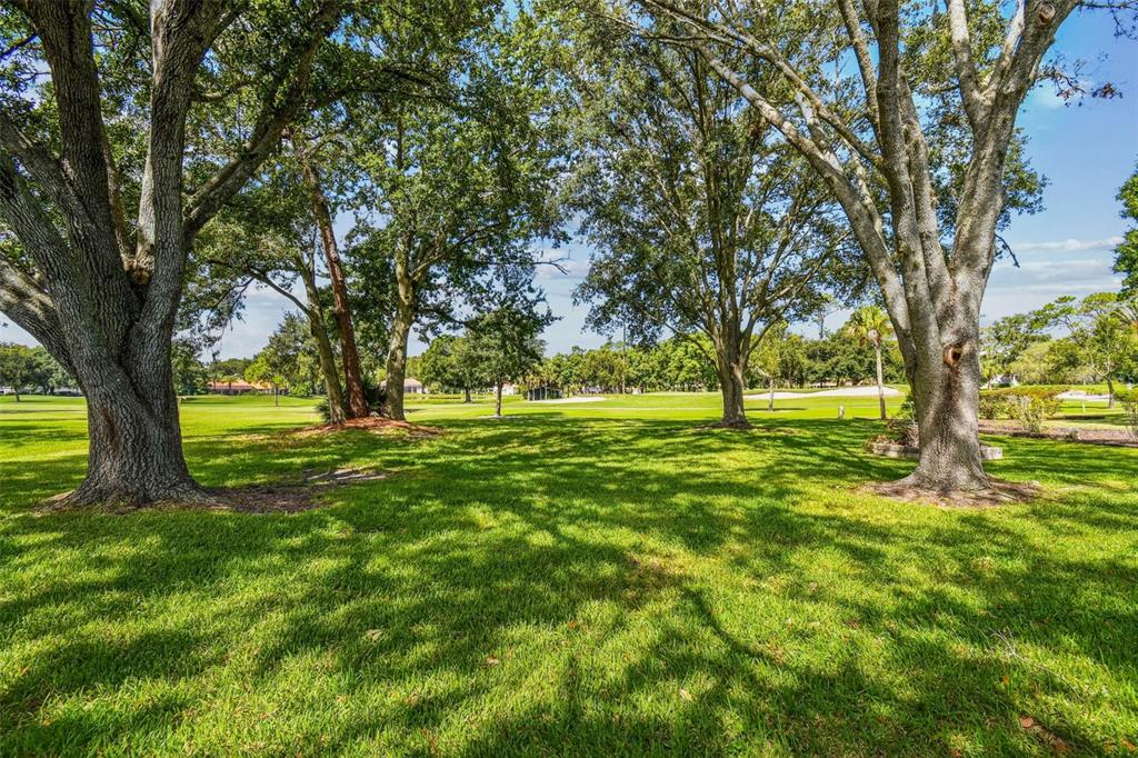 5319 Saddlebrook Way Wesley Chapel, FL 33543 - Photo 62 of 77 a view of yard with trees