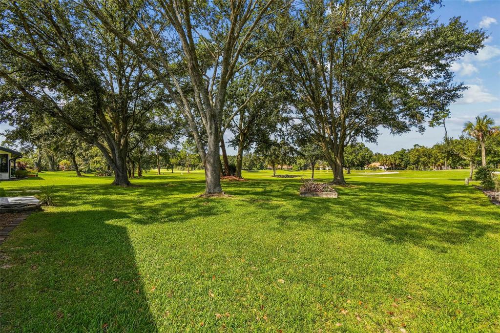 5319 Saddlebrook Way Wesley Chapel, FL 33543 - Photo 63 of 77