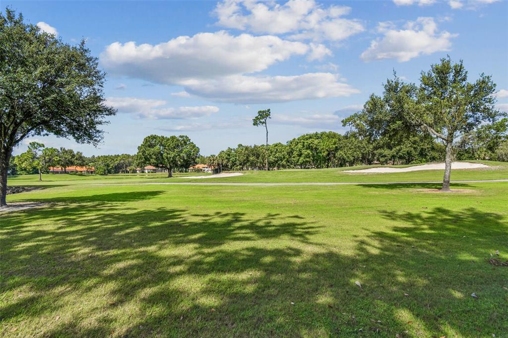 5319 Saddlebrook Way Wesley Chapel, FL 33543 - Photo 66 of 77 a view of a volley ball court