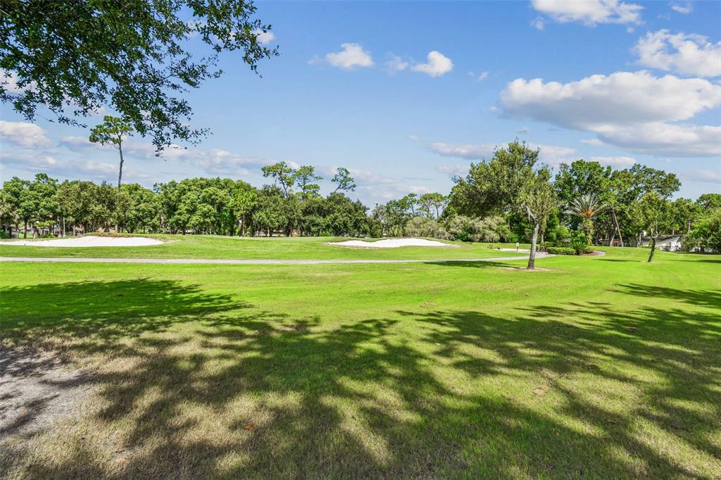 5319 Saddlebrook Way Wesley Chapel, FL 33543 - Photo 67 of 77 a view of a golf course with a garden