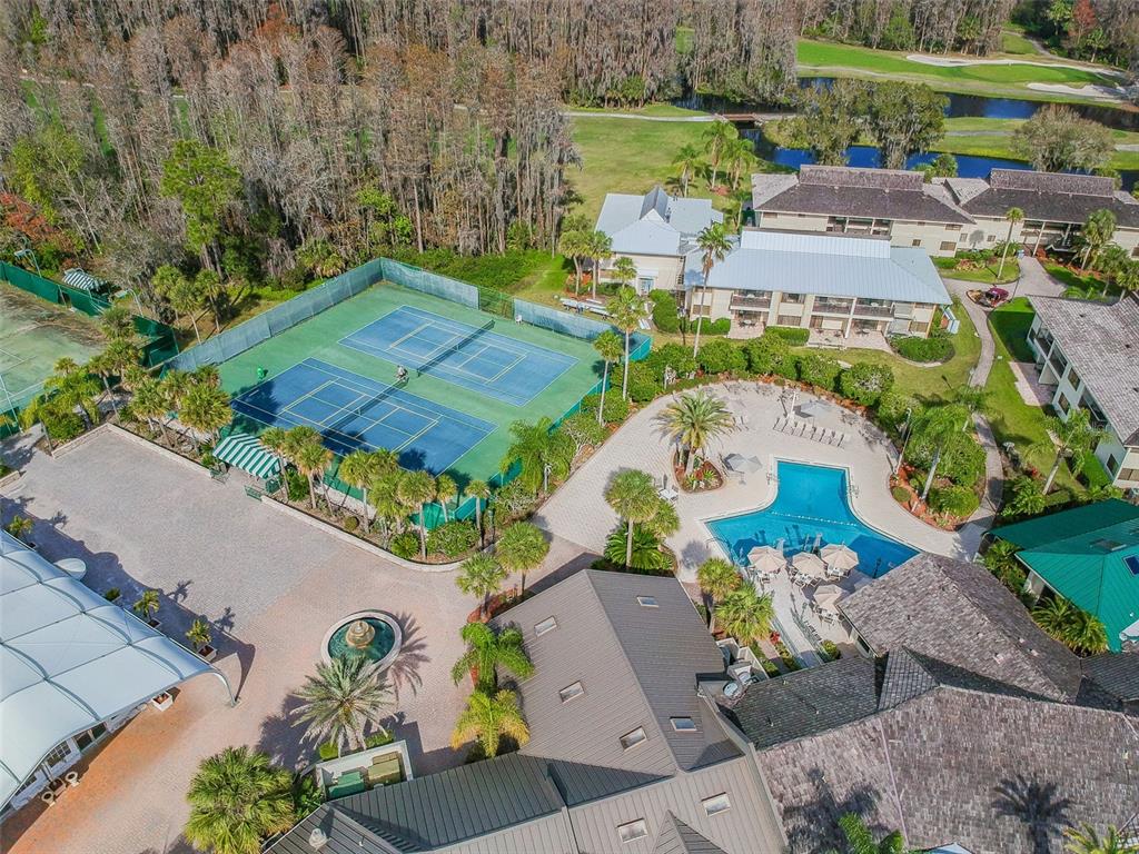 5319 Saddlebrook Way Wesley Chapel, FL 33543 - Photo 69 of 77