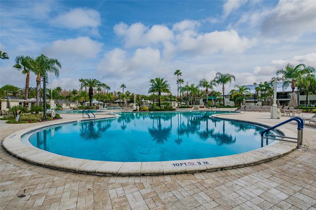 5319 Saddlebrook Way Wesley Chapel, FL 33543 - Photo 73 of 77 a view of swimming pool with outdoor seating and plants