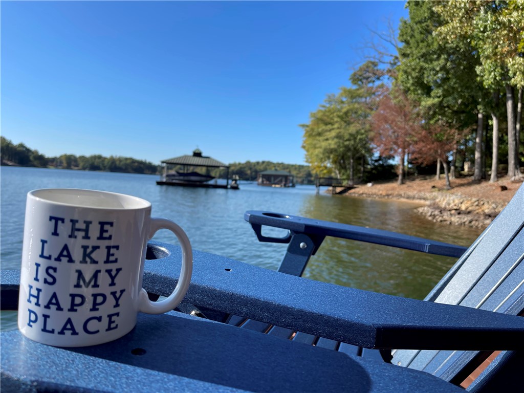103 Big Oak Drive Seneca, SC 29672 - Photo 20 of 50