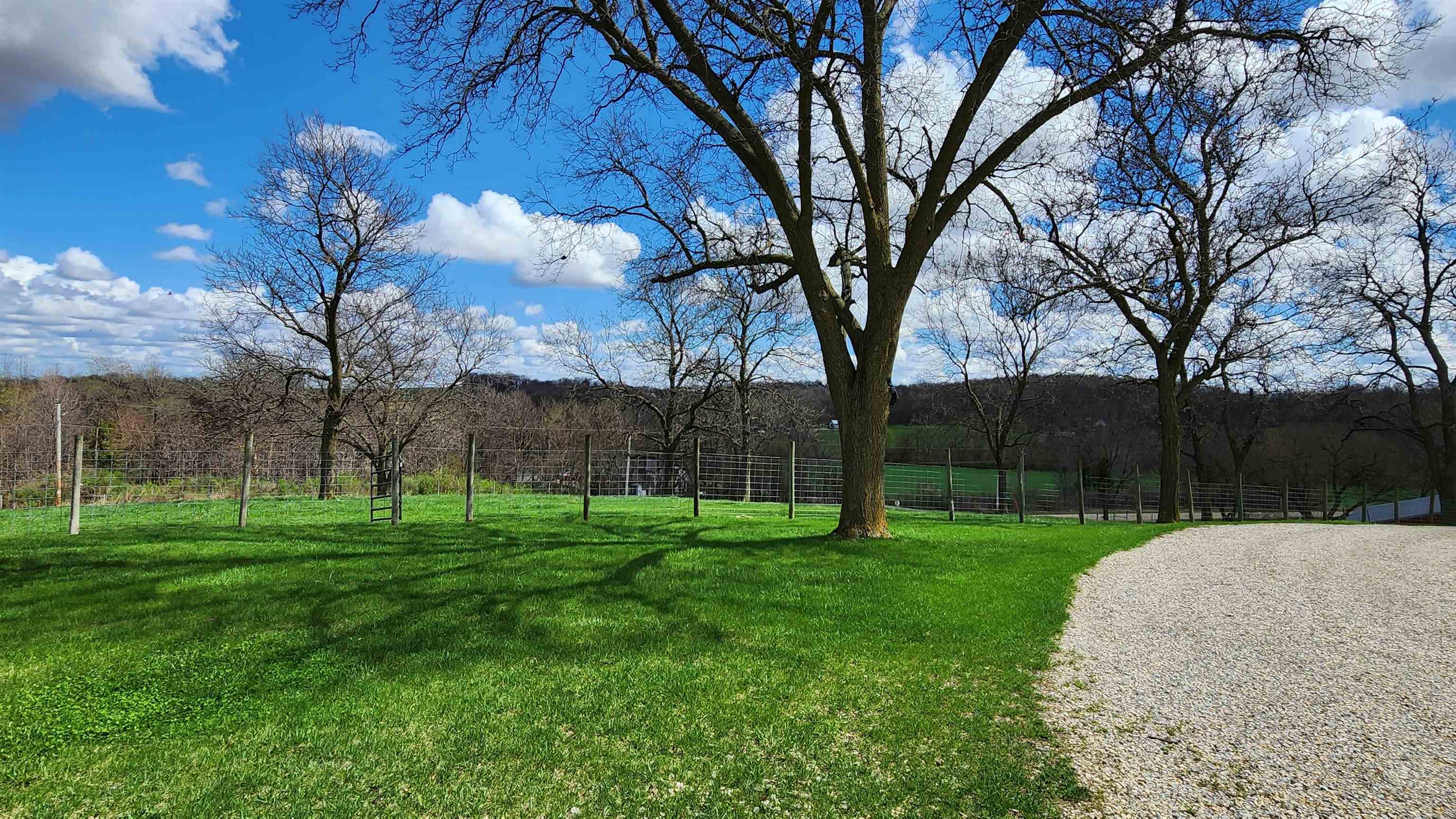 N339 Mt Hope Road Brodhead, WI 53520 - Photo 3 of 38