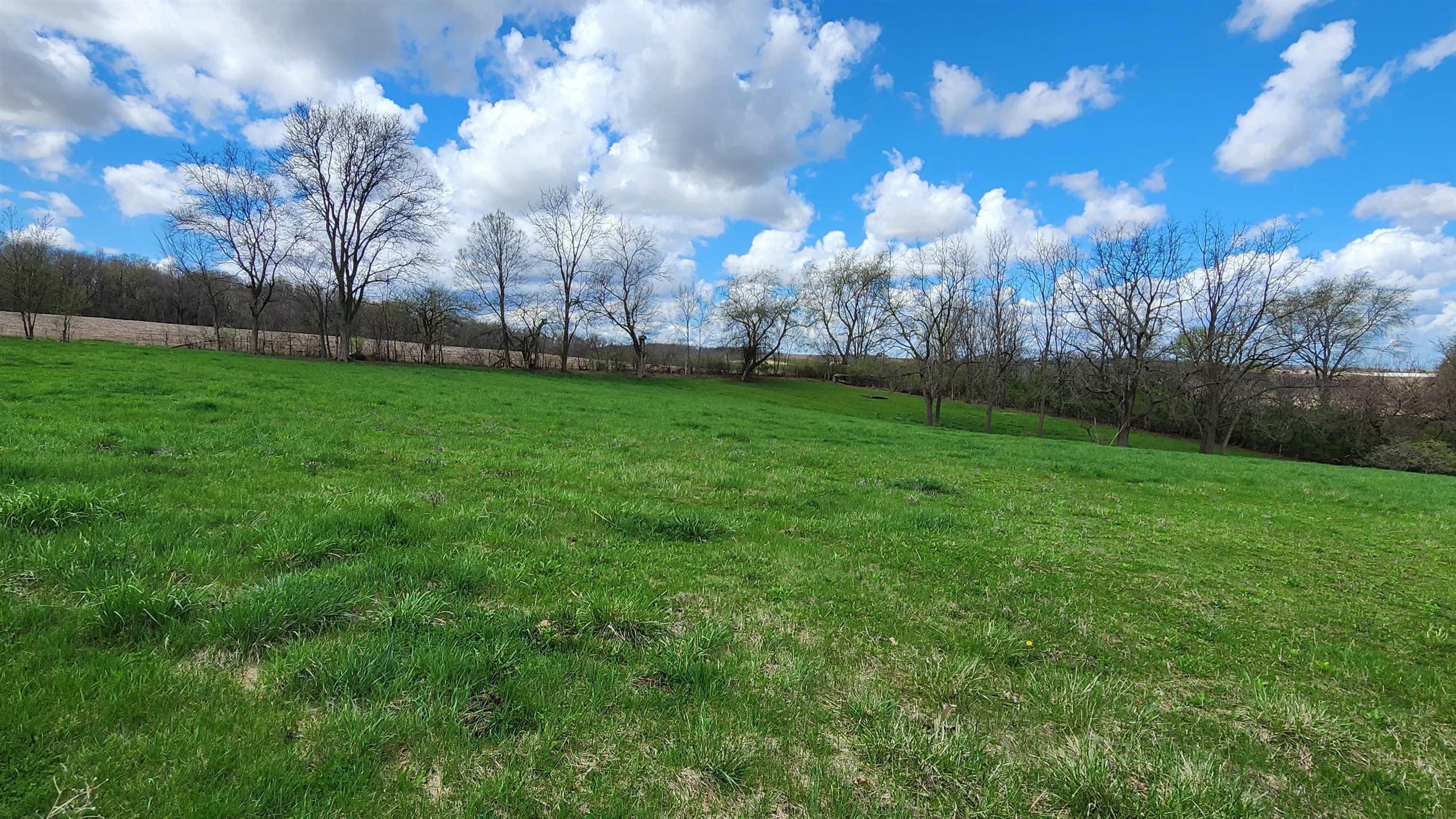 N339 Mt Hope Road Brodhead, WI 53520 - Photo 36 of 38