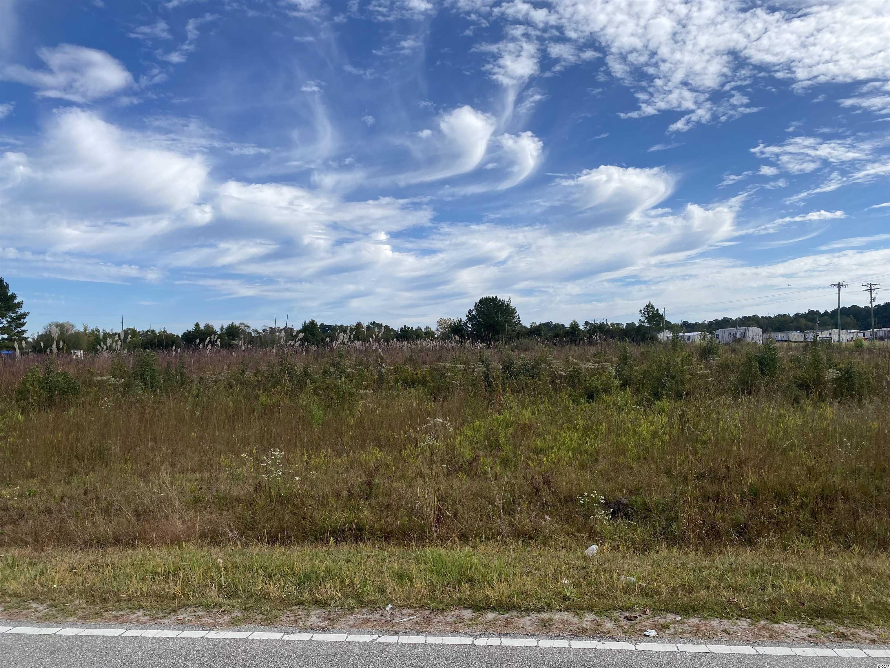 Hallie Martin Road Conway, SC 29527 - Photo 1 of 3 Gallery Image 1
