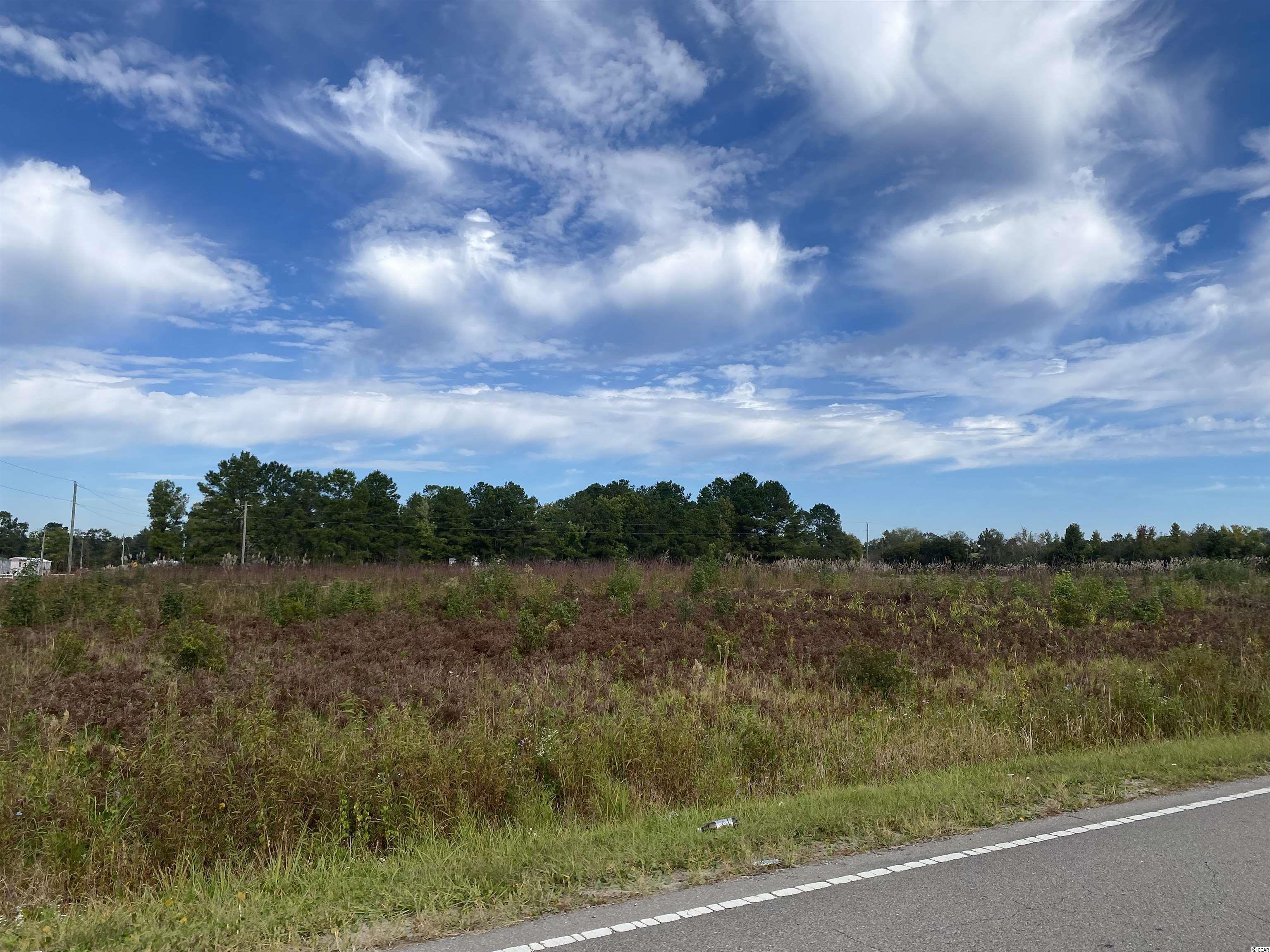 Hallie Martin Road Conway, SC 29527 - Photo 2 of 3 Gallery Image 2