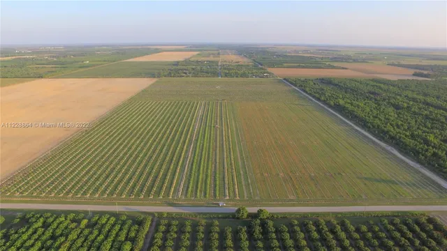 a view of a swimming pool with an ocean view