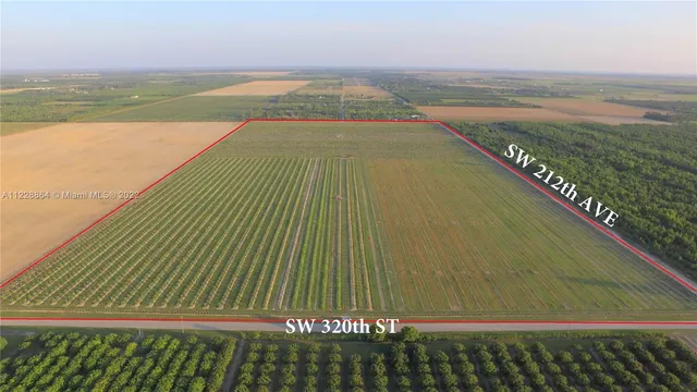 a view of swimming pool