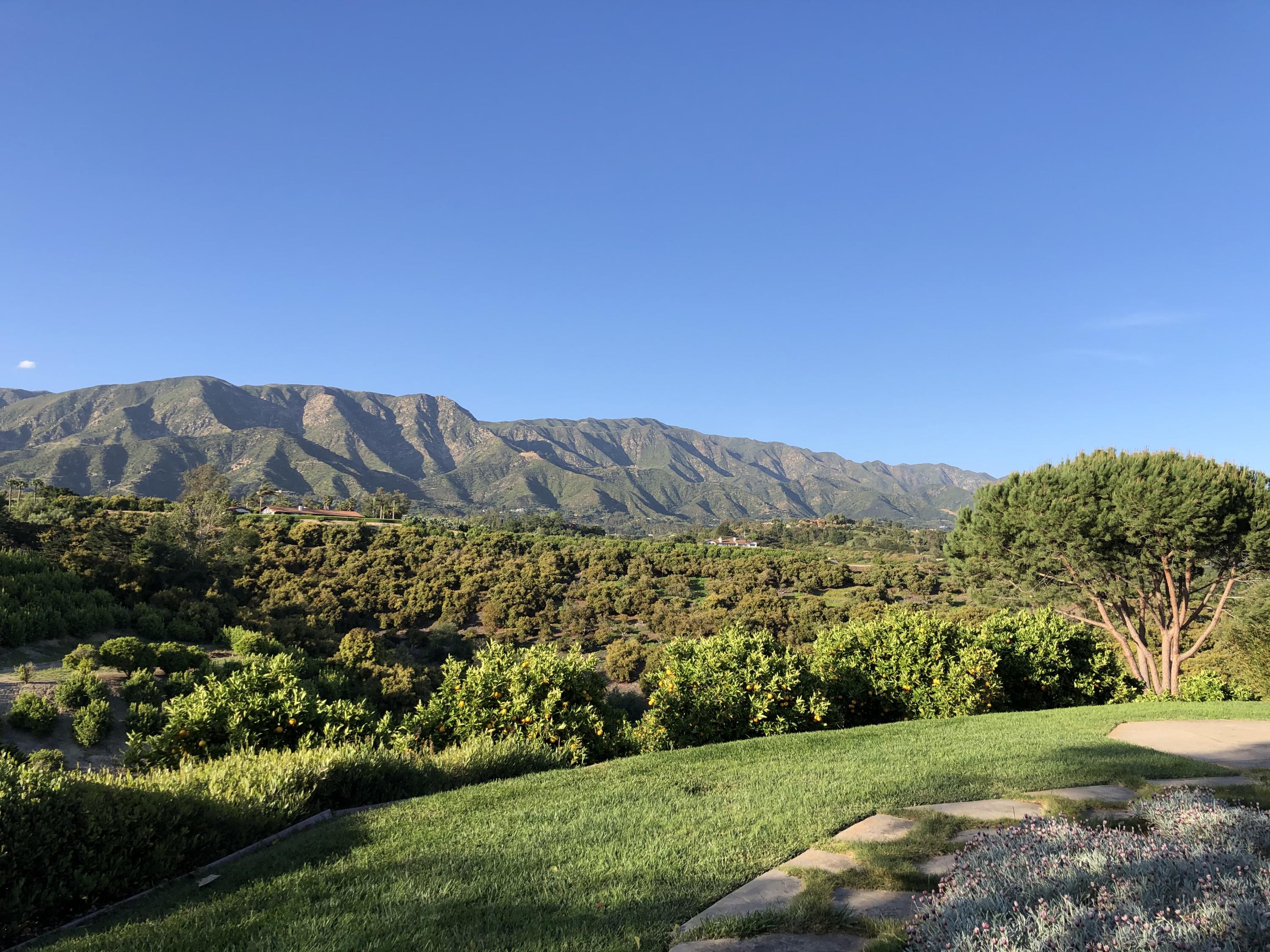 2250 Ortega Ranch Road Summerland, CA 93067 - Photo 16 of 28 a view of a lush green field with mountains in the background