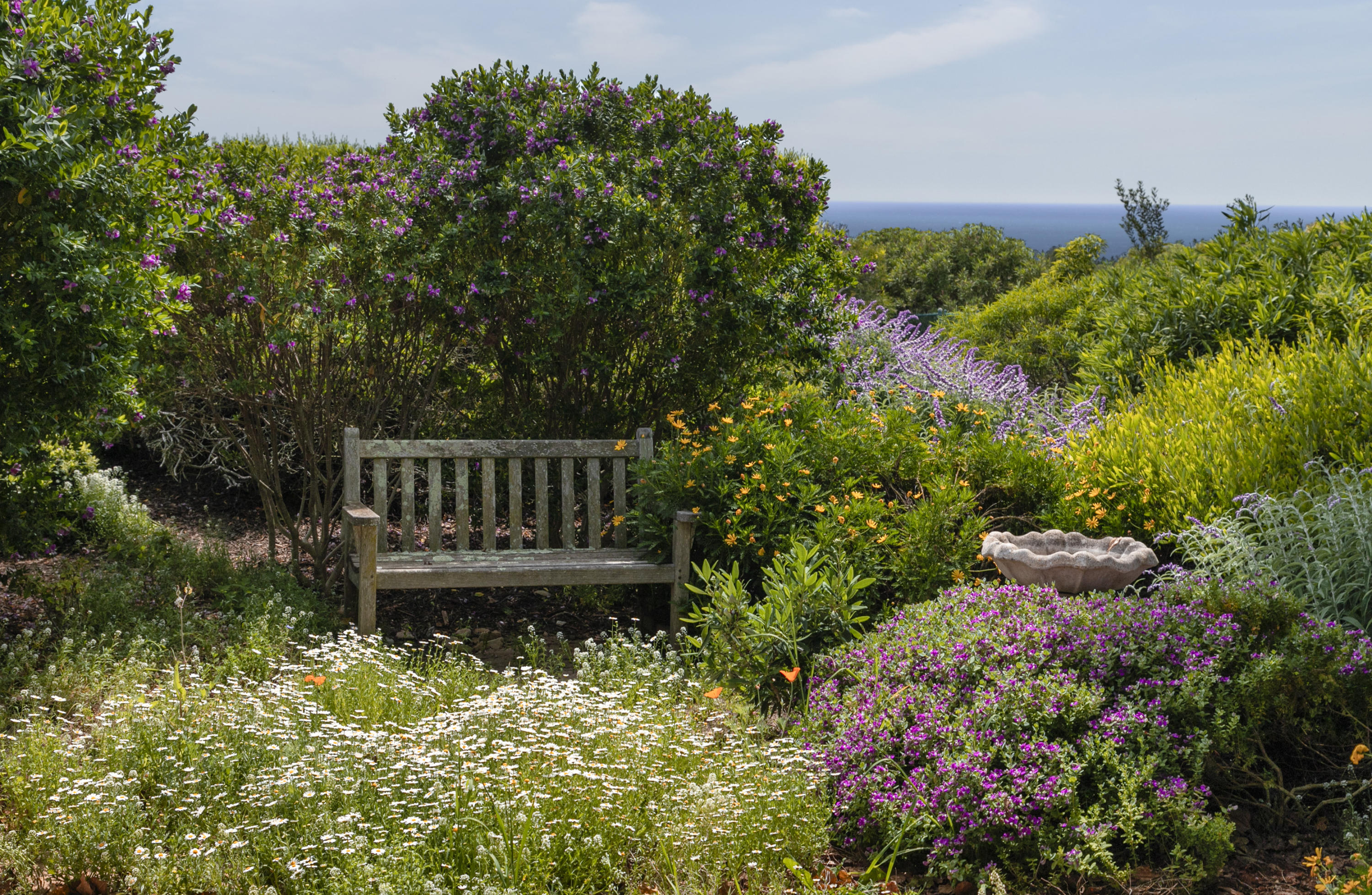 2250 Ortega Ranch Road Summerland, CA 93067 - Photo 22 of 28 a view of a garden with wooden fence