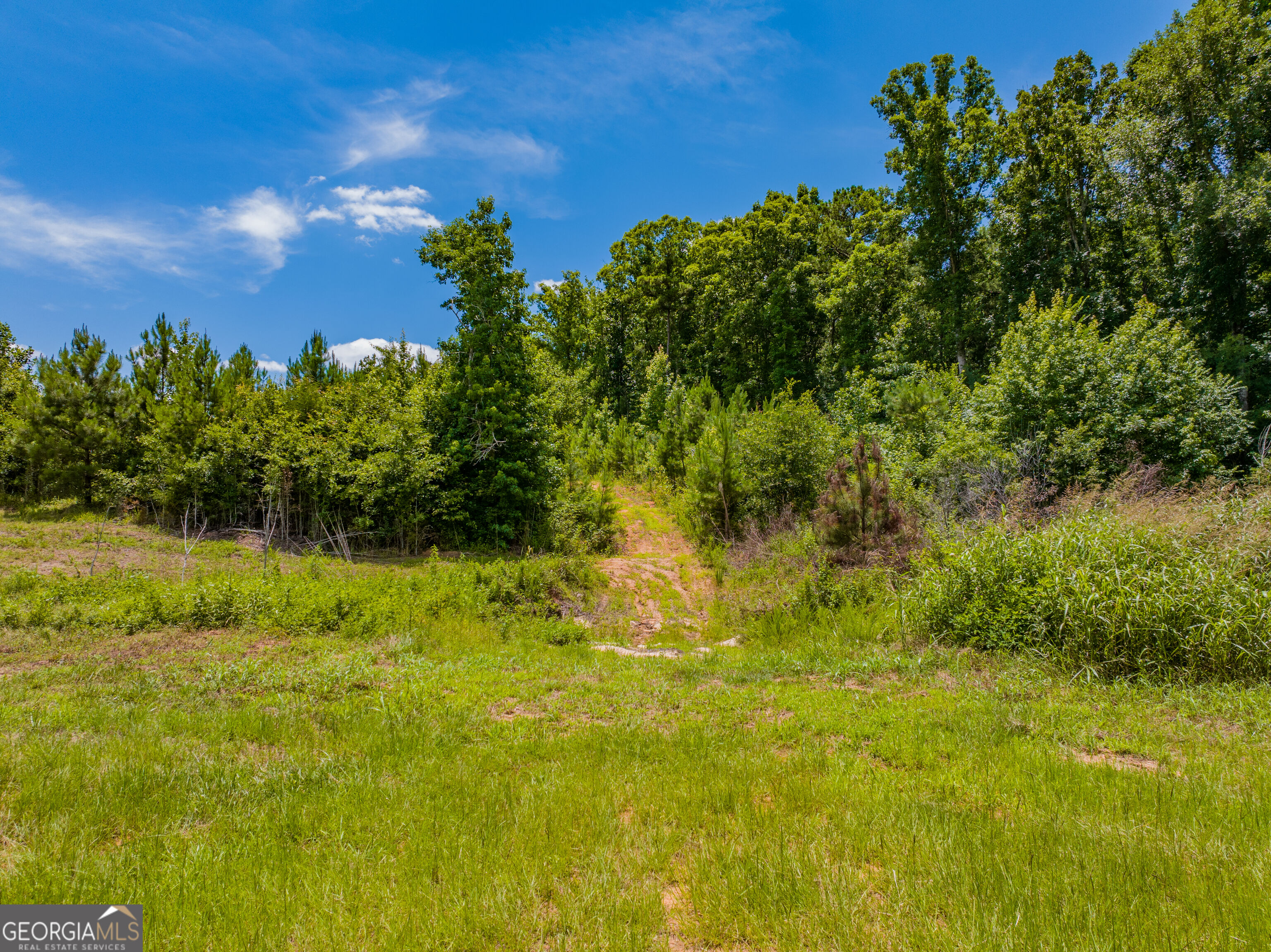 47-acres Cochran Road Madison, GA 30650 - Photo 29 of 38 Gallery Image 29