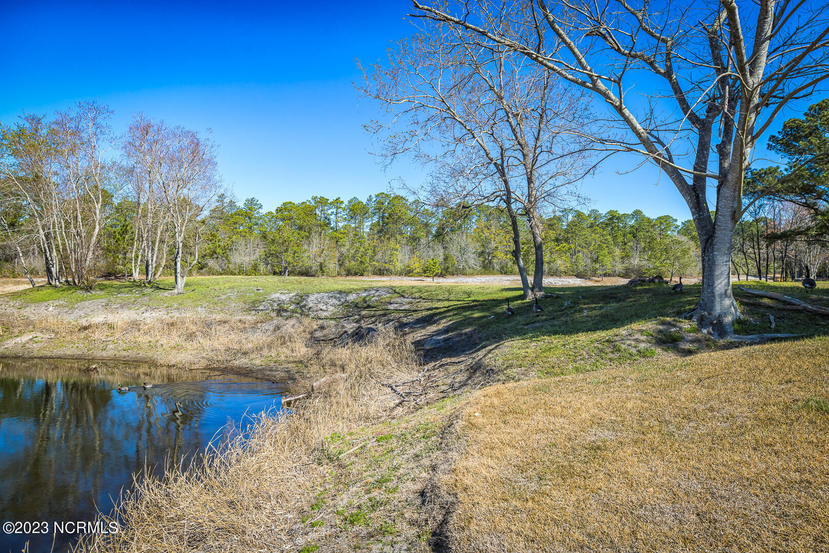 7809 Olde Pond Road Wilmington, NC 28411 - Photo 12 of 68 S6